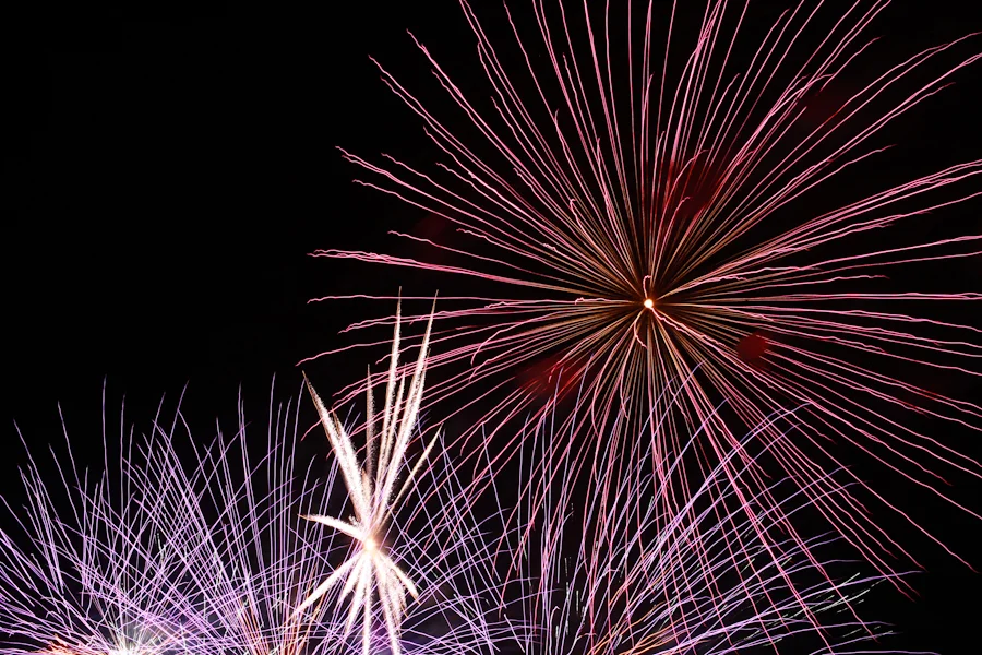 Happy Fourth of July.