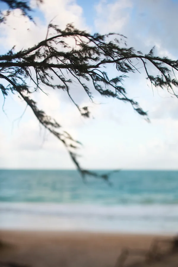 hawaii | bellows beach