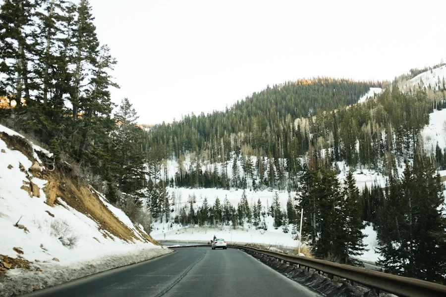 A Sundance Kind of Day.