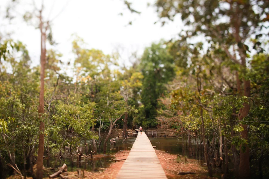 the stop doing list.