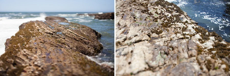 slo | montana de oro