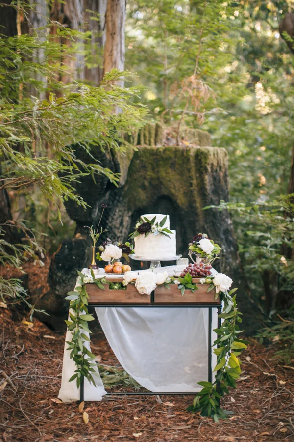 Into the Woods We Go. 