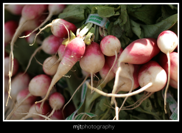 080fbfarmersmarket09