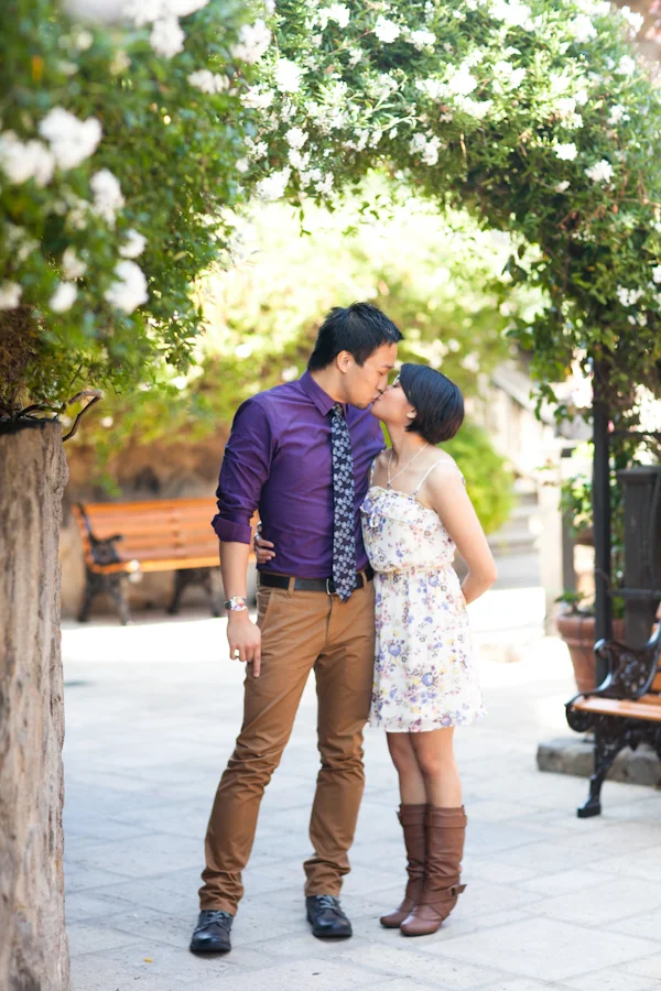 Christine & BeeJae | Napa Valley Engagement Session