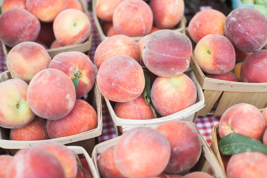 Top 5 Things to Do in Birmingham