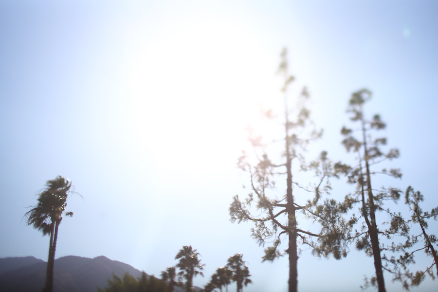 1030palmsprings01