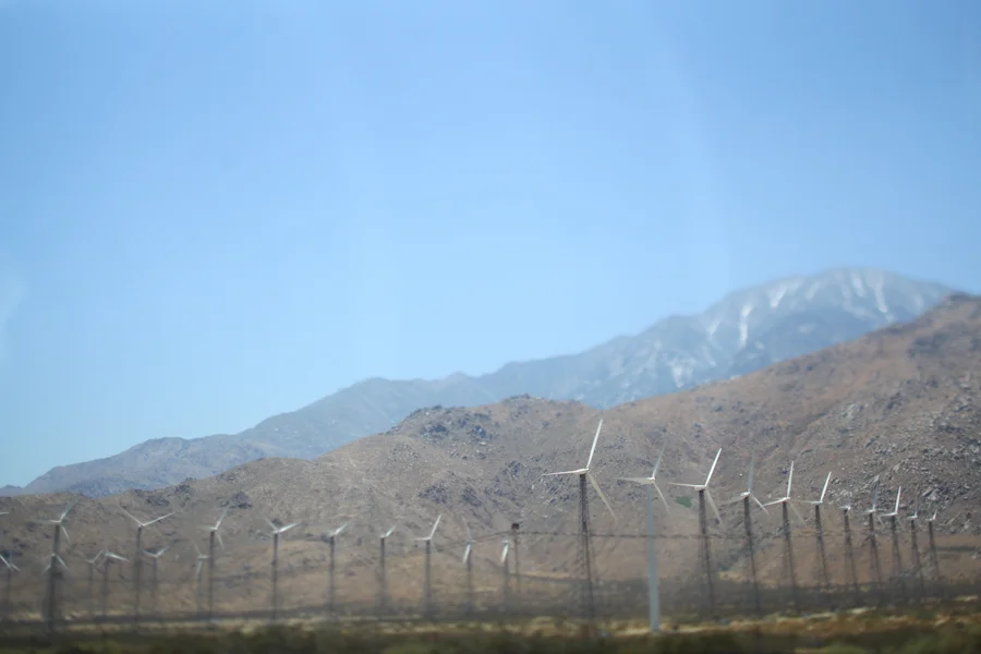 1030palmsprings04.JPG