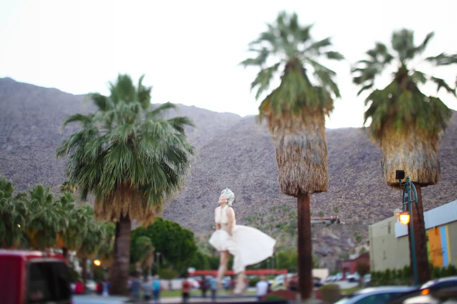 1030palmsprings05.JPG