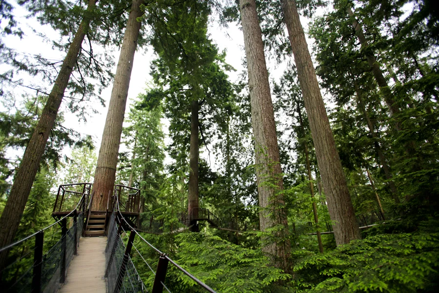 my inciting incident.