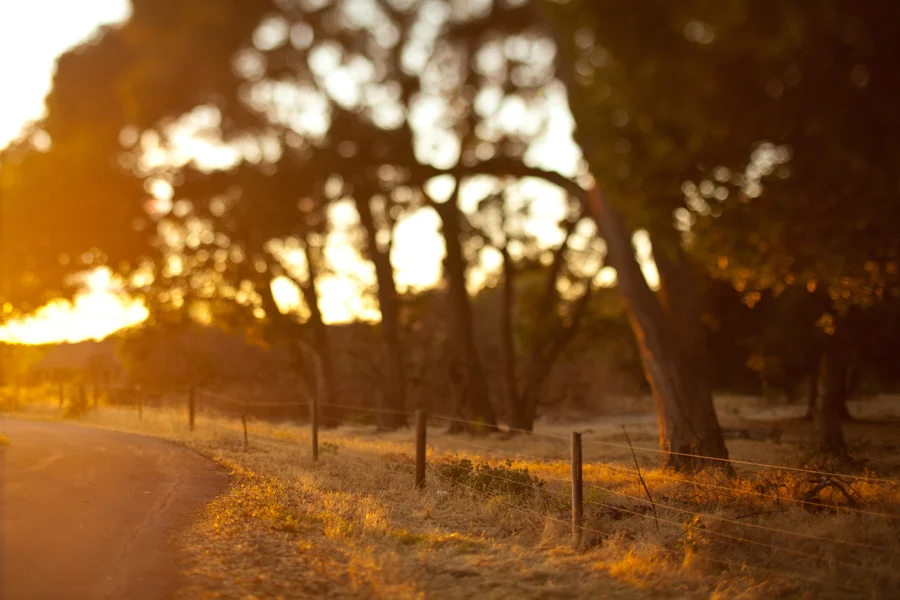 Coyote Hills Regional Park | it warms my soul. 