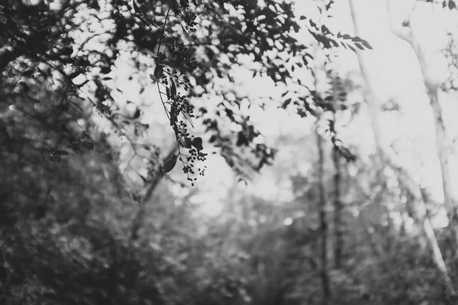 thankful thursday 22