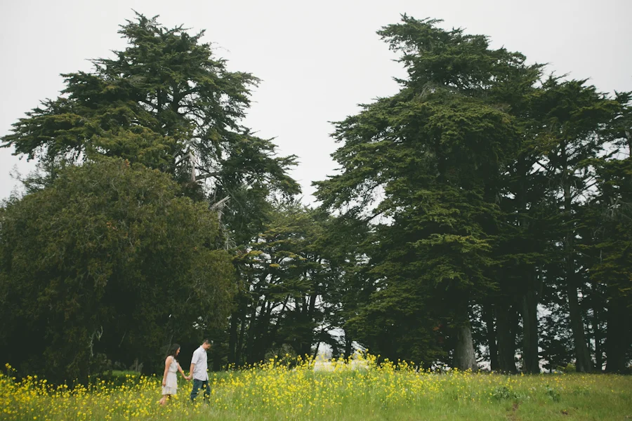 a santa cruz engagement session