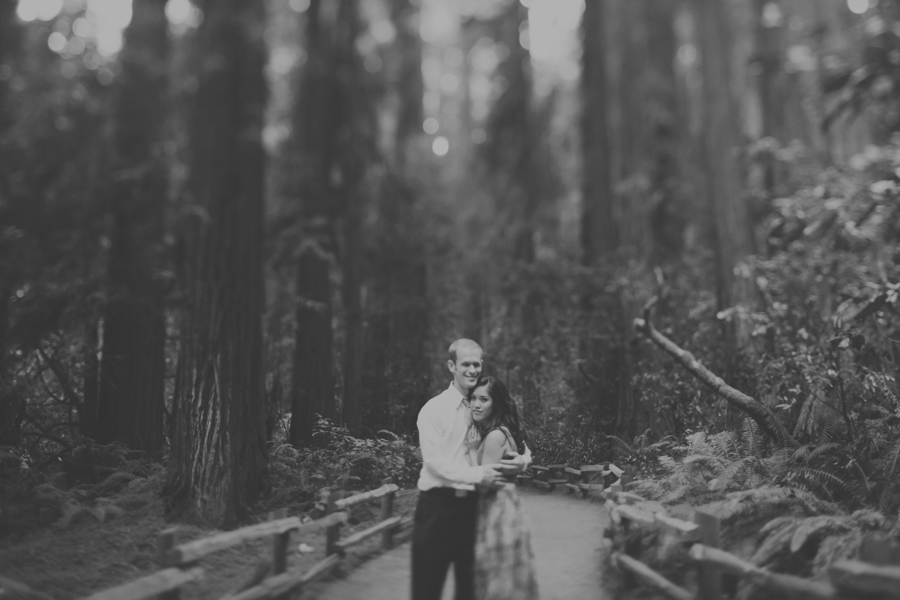 Muir Woods Engagement Photography | Renee & Brian