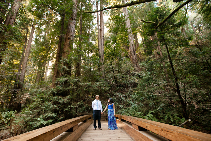 Muir Woods Engagement Photography | Renee & Brian