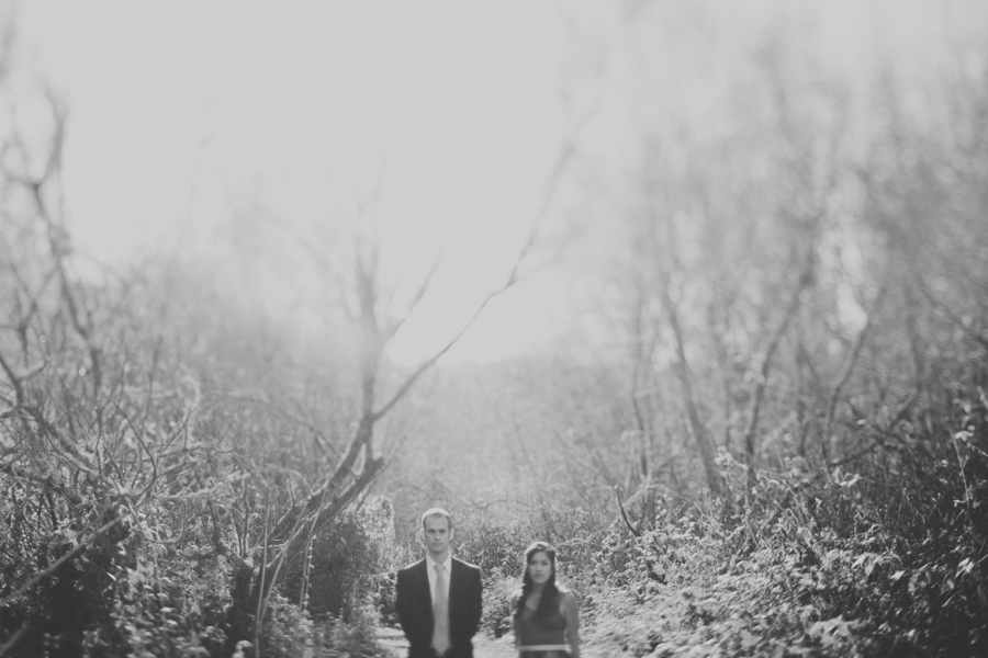 Muir Woods Engagement Photography | Renee & Brian