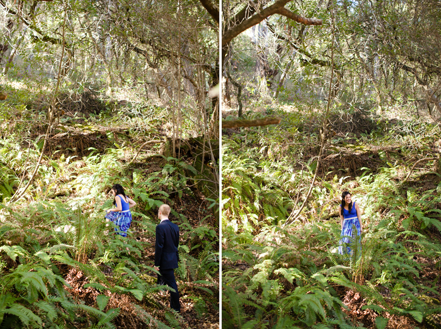 Muir Woods Engagement Photography | Renee & Brian