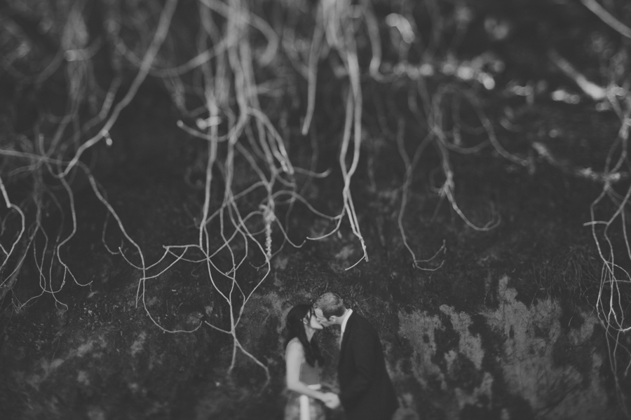 Muir Woods Engagement Photography | Renee & Brian