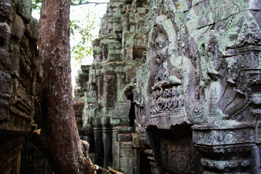 Ta Prohm