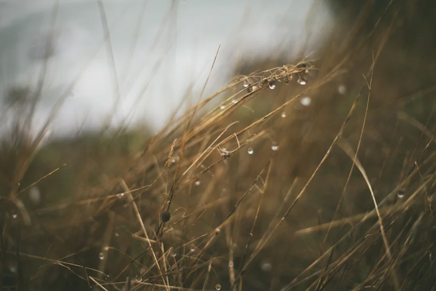 the coastal highway. the long road home. 