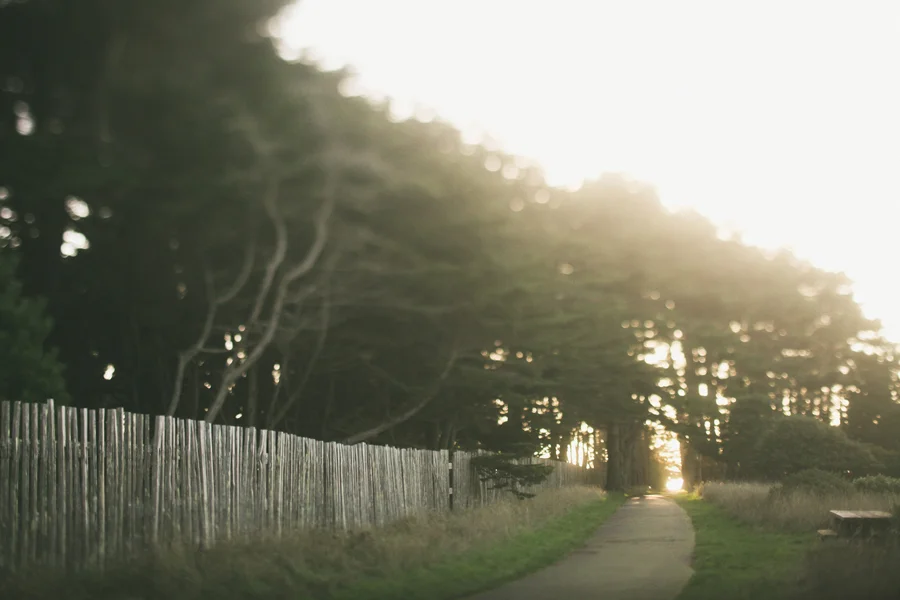 a list for thursday. 