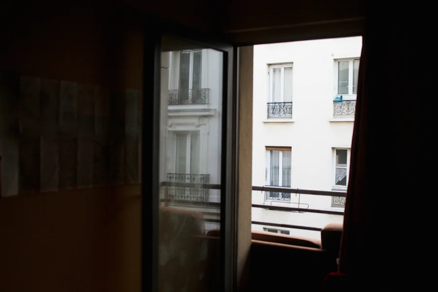 paris | the new year