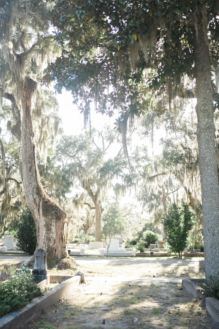 Bonaventure Cemetery Savannah Georgia Photography