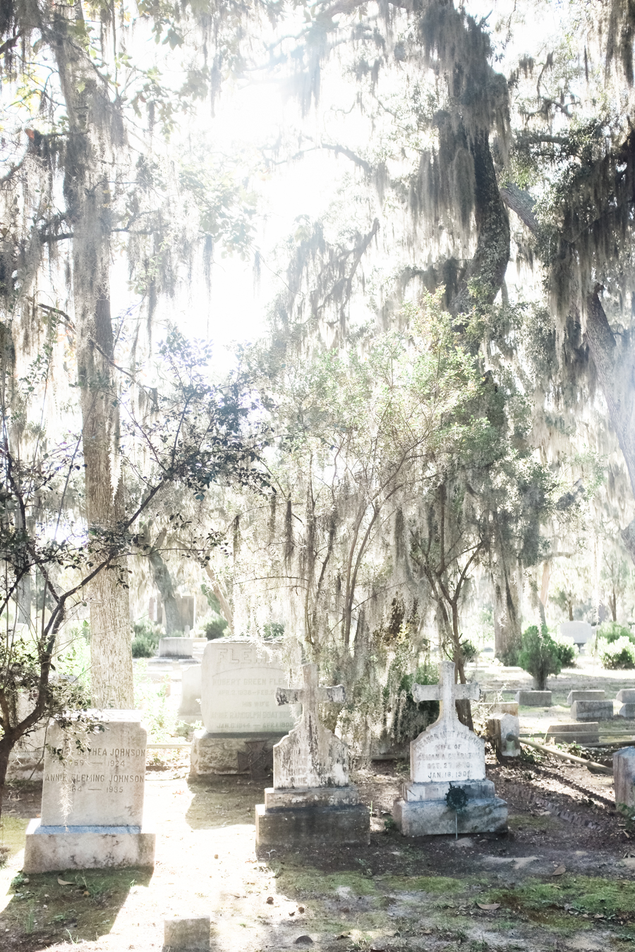 1480 bonaventure cemetery savannah georgia02.JPG