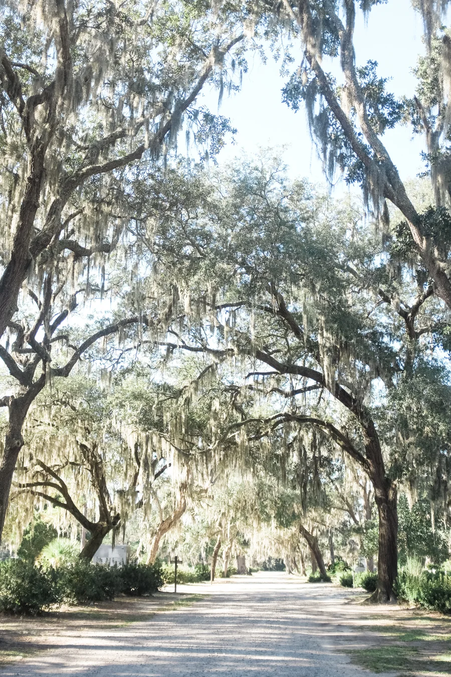 Bonaventure Cemetery