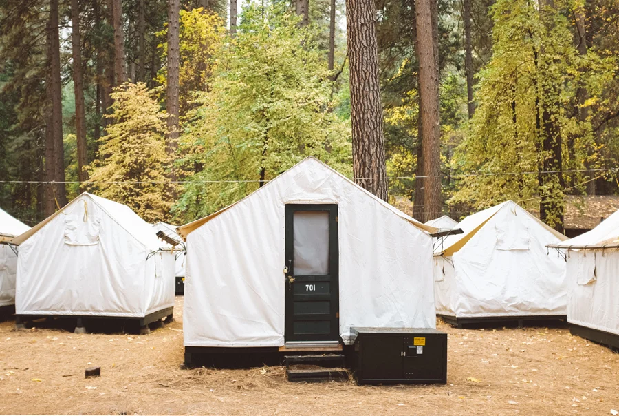 I'm teaching at Field Trip!