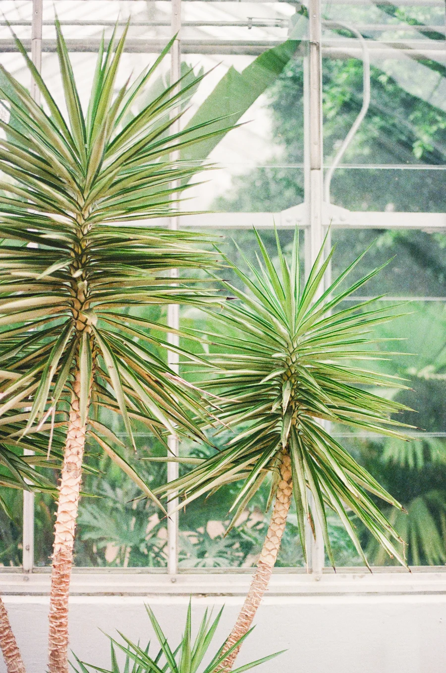 Birmingham Botanical Gardens on Film