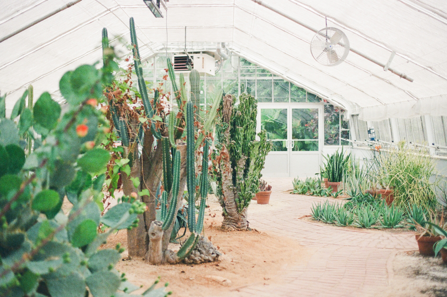 Birmingham Botanical Gardens On Film Megan Tsang Studio