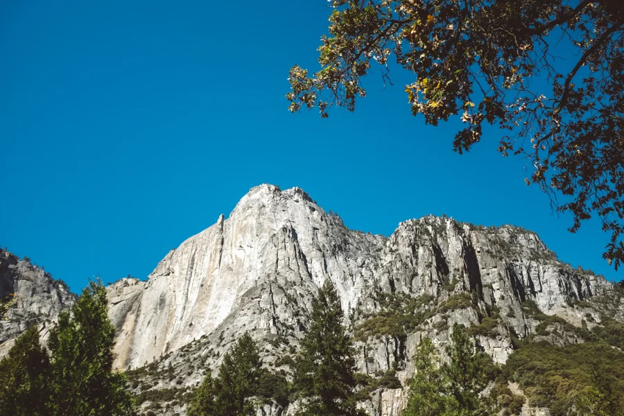 Yosemite National Park Photography