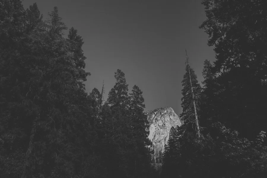 Yosemite National Park