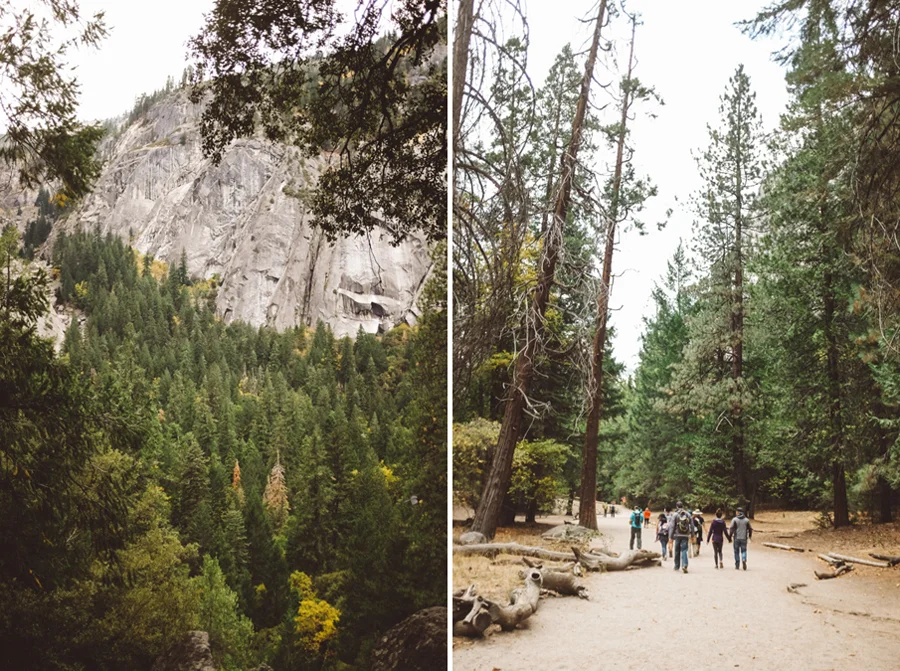 Yosemite National Park