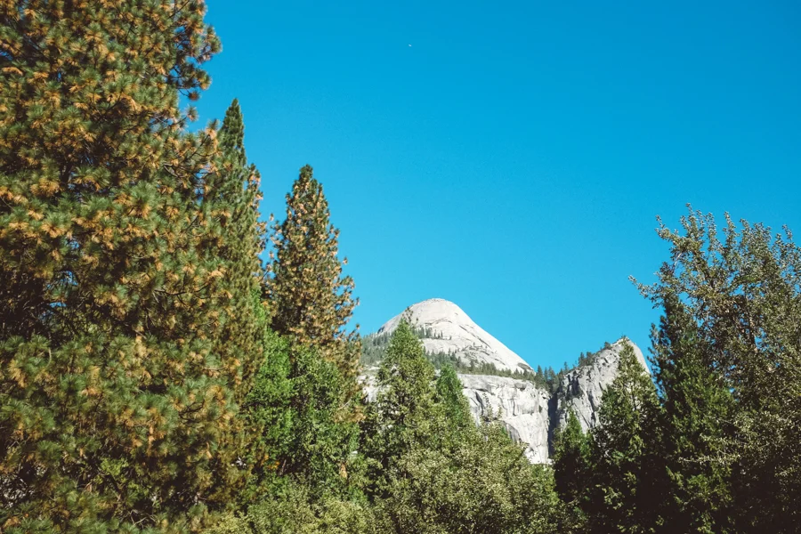 Yosemite National Park