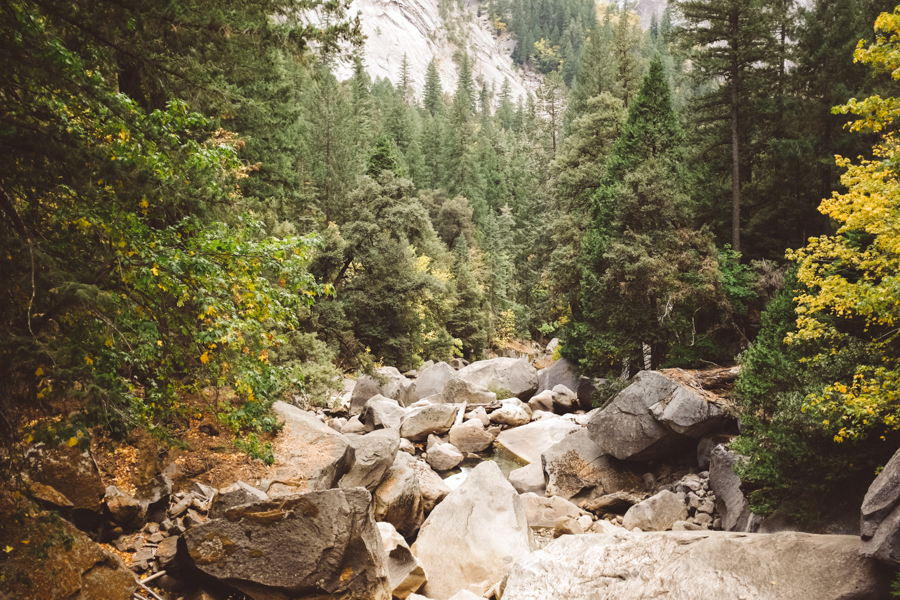 Yosemite National Park