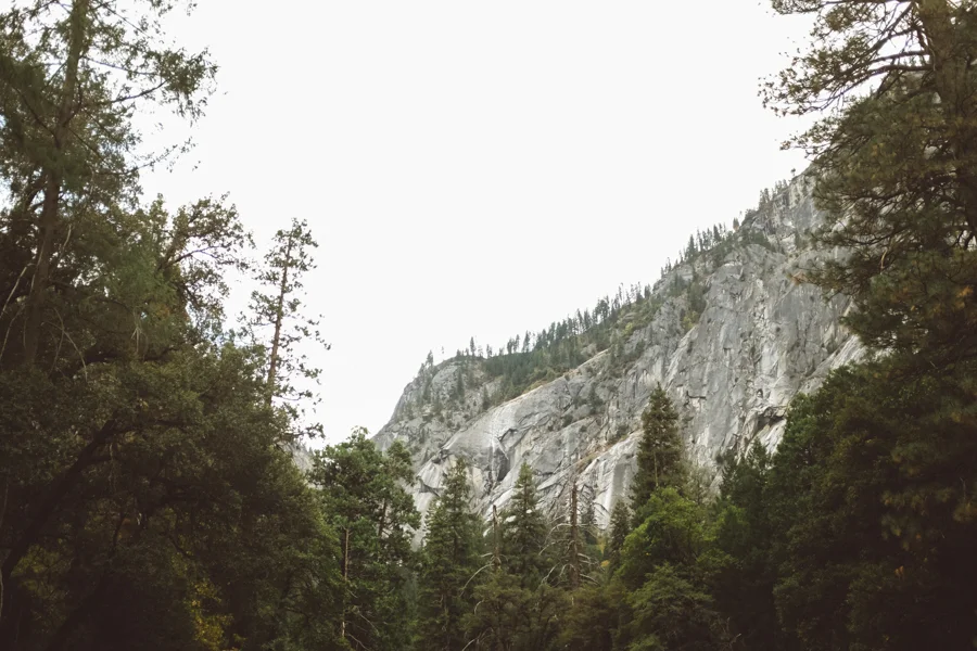 1425 yosemite photography13.JPG
