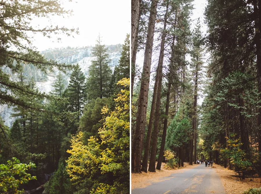1425 yosemite photography12.JPG