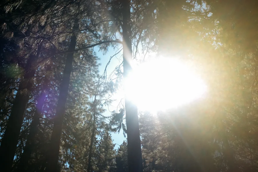 Yosemite National Park