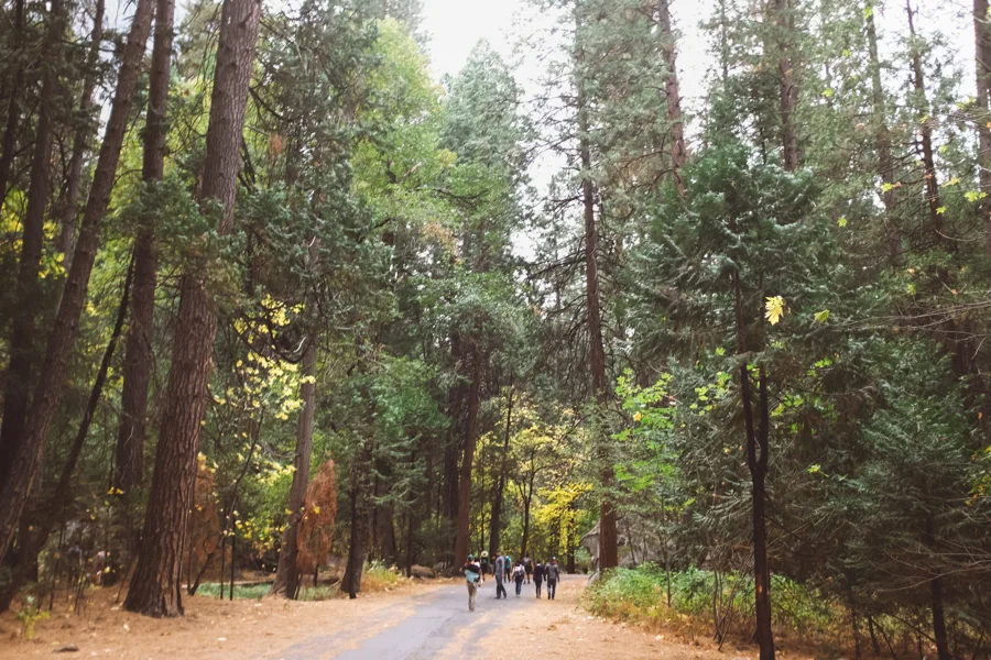 Yosemite National Park