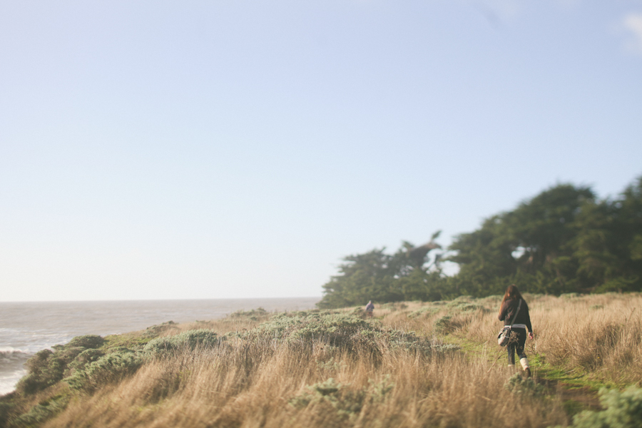 Gualala Point County Park 