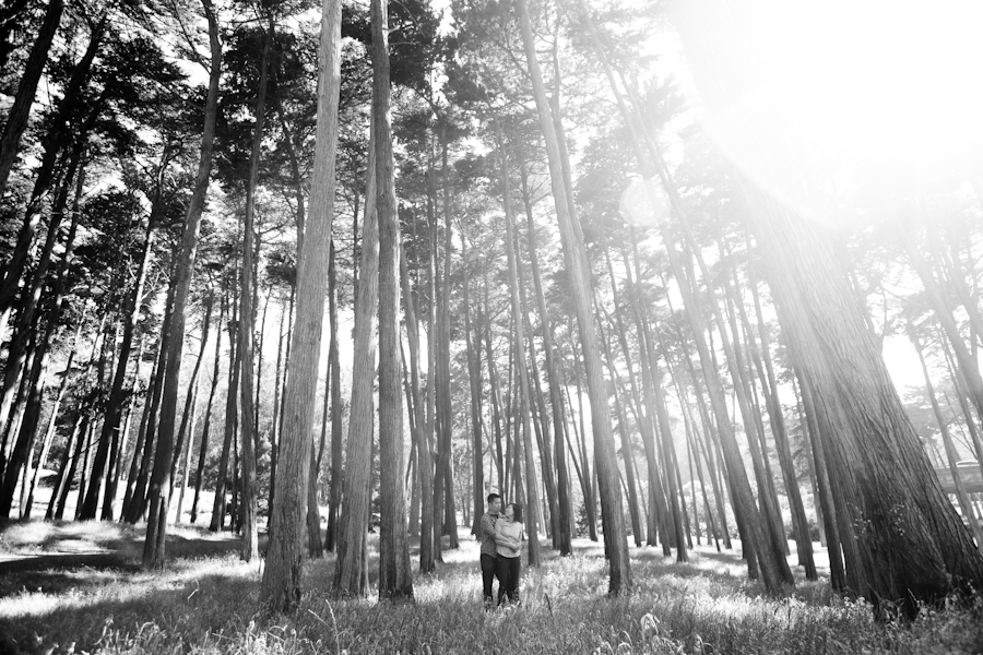 San Francisco Presidio Engagement Photography | Melia & Brian