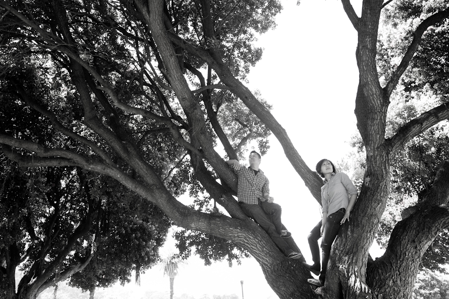 San Francisco Presidio Engagement Photography | Melia & Brian