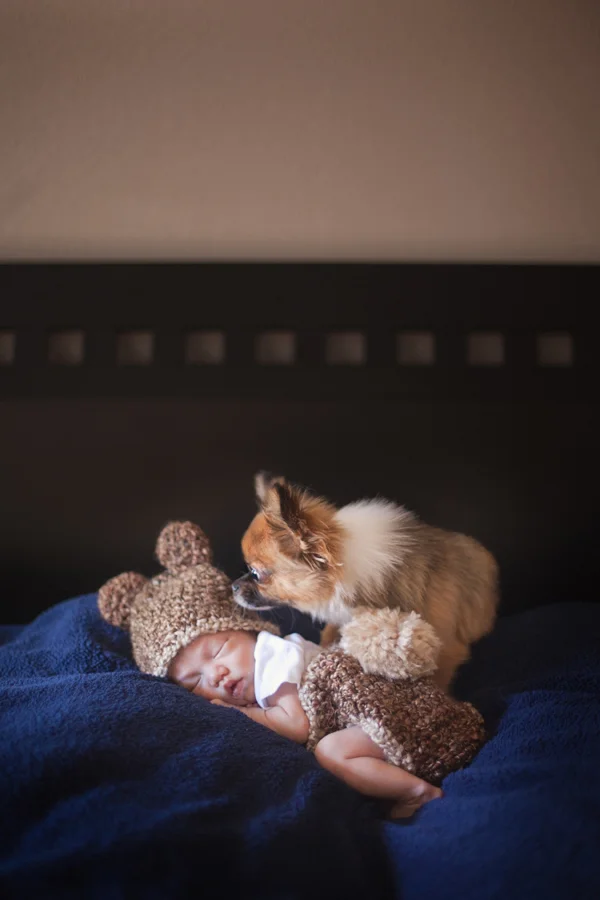 Jordan | San Jose Newborn Photographer