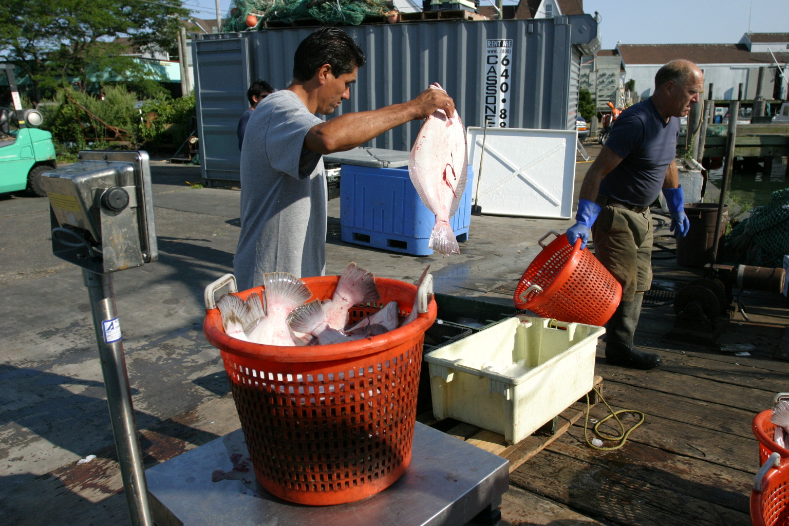 Mid-Atlantic Fishery Management Council
