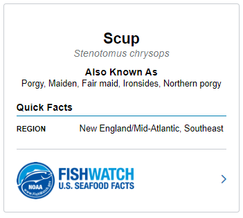 Scup FishWatch 1.png