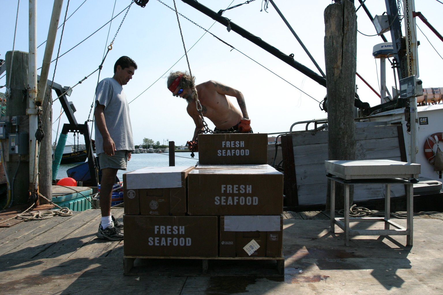 2012-09_MontaukPackOut9.JPG