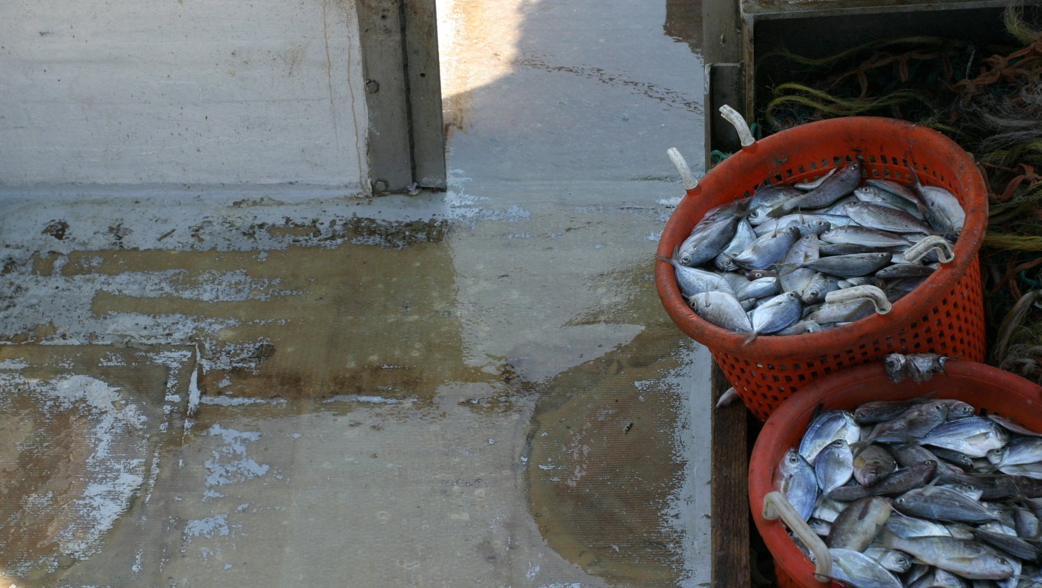 2012-09_MontaukPackOut13.JPG