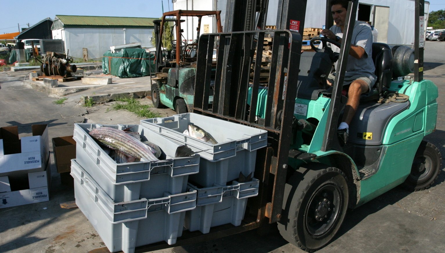 2012-09_MontaukPackOut16.JPG