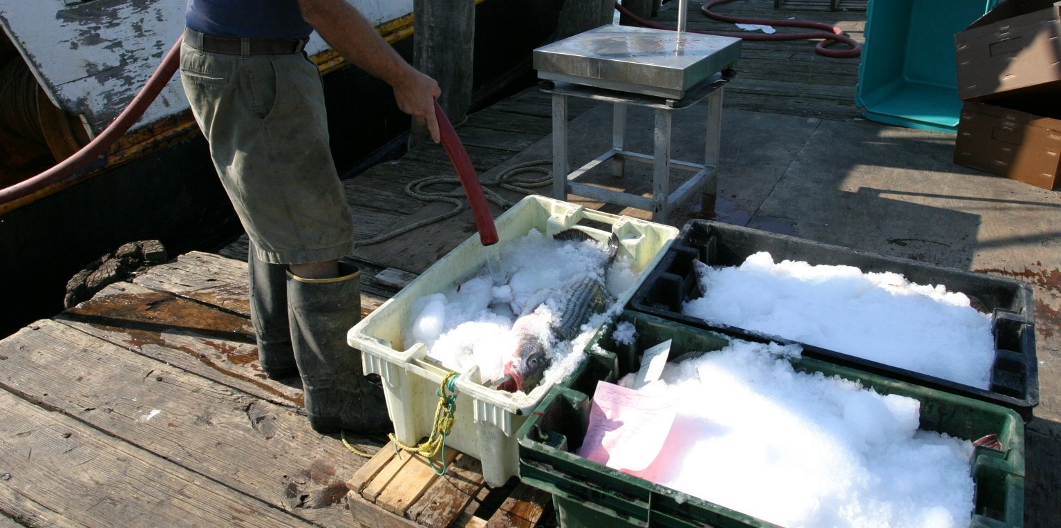2012-09_MontaukPackOut17.JPG